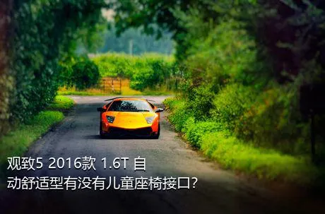 观致5 2016款 1.6T 自动舒适型有没有儿童座椅接口？