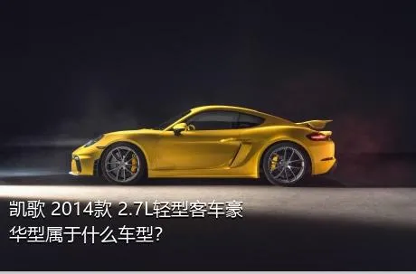 凯歌 2014款 2.7L轻型客车豪华型属于什么车型？