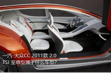 一汽-大众CC 2011款 2.0TSI 至尊型属于什么车型？