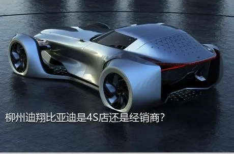 柳州迪翔比亚迪是4S店还是经销商？