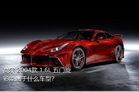 高尔 2004款 1.6L 五门旋彩型属于什么车型？