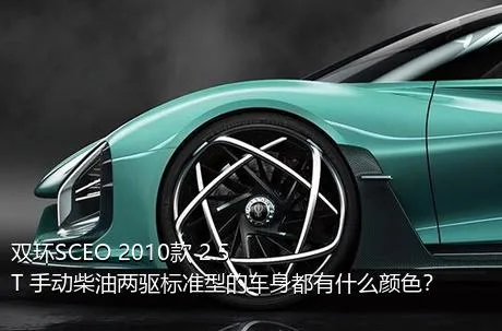 双环SCEO 2010款 2.5T 手动柴油两驱标准型的车身都有什么颜色？