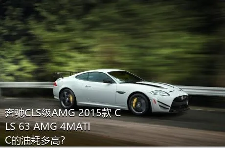 奔驰CLS级AMG 2015款 CLS 63 AMG 4MATIC的油耗多高？