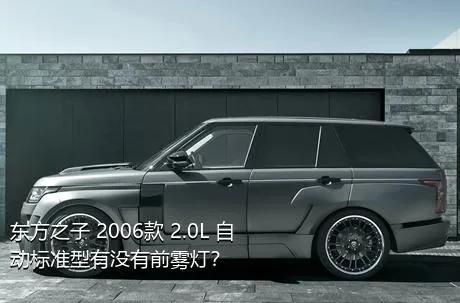 东方之子 2006款 2.0L 自动标准型有没有前雾灯？