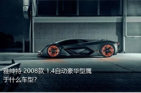 雅绅特 2008款 1.4自动豪华型属于什么车型？