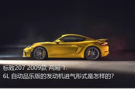 标致207 2009款 两厢 1.6L 自动品乐版的发动机进气形式是怎样的？