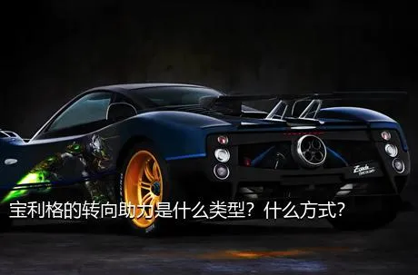 宝利格的转向助力是什么类型？什么方式？