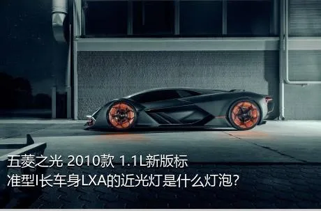 五菱之光 2010款 1.1L新版标准型I长车身LXA的近光灯是什么灯泡？