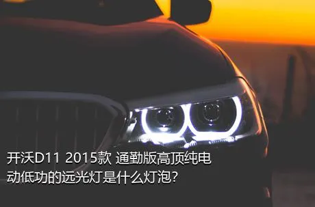 开沃D11 2015款 通勤版高顶纯电动低功的远光灯是什么灯泡？
