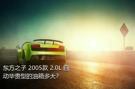 东方之子 2005款 2.0L 自动华贵型的油箱多大？