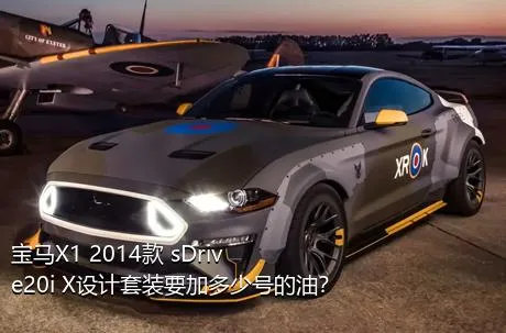 宝马X1 2014款 sDrive20i X设计套装要加多少号的油？
