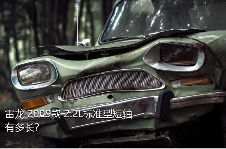 雷龙 2009款 2.2L标准型短轴有多长？