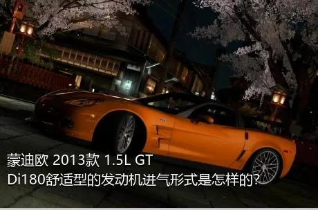 蒙迪欧 2013款 1.5L GTDi180舒适型的发动机进气形式是怎样的？