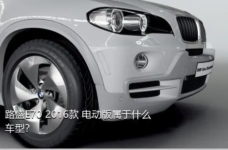 路盛E70 2016款 电动版属于什么车型？