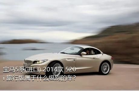 宝马5系(进口) 2014款 520i 旅行版属于什么级别的车？