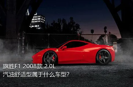旗胜F1 2008款 2.0L 汽油舒适型属于什么车型？