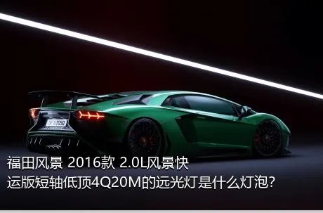 福田风景 2016款 2.0L风景快运版短轴低顶4Q20M的远光灯是什么灯泡？