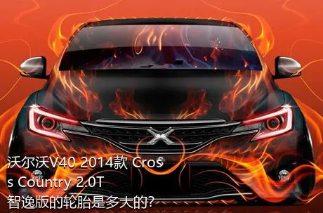 沃尔沃V40 2014款 Cross Country 2.0T 智逸版的轮胎是多大的？