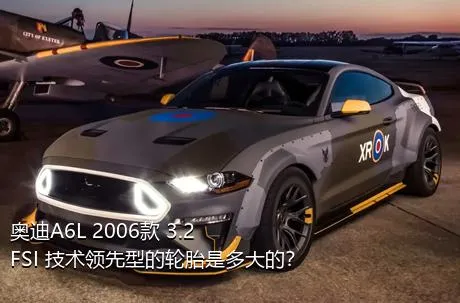 奥迪A6L 2006款 3.2 FSI 技术领先型的轮胎是多大的？