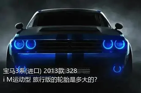 宝马3系(进口) 2013款 328i M运动型 旅行版的轮胎是多大的？