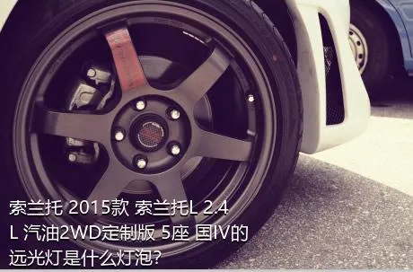 索兰托 2015款 索兰托L 2.4L 汽油2WD定制版 5座 国IV的远光灯是什么灯泡？