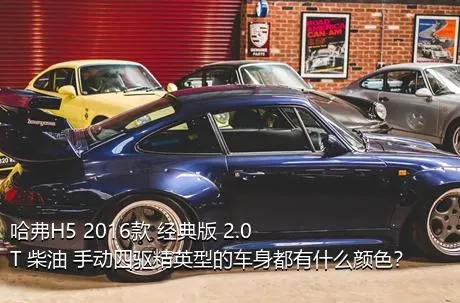 哈弗H5 2016款 经典版 2.0T 柴油 手动四驱精英型的车身都有什么颜色？