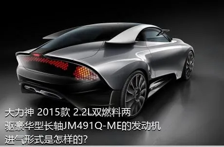 大力神 2015款 2.2L双燃料两驱豪华型长轴JM491Q-ME的发动机进气形式是怎样的？
