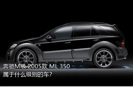 奔驰M级 2005款 ML 350属于什么级别的车？