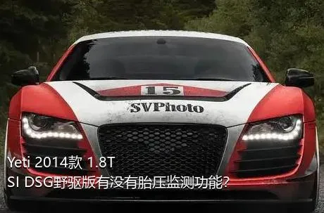 Yeti 2014款 1.8TSI DSG野驱版有没有胎压监测功能？