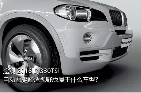 途观 2016款 330TSI 自动四驱舒适视野版属于什么车型？