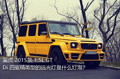 翼虎 2015款 1.5L GTDi 四驱精英型的远光灯是什么灯泡？