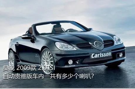 昊锐 2009款 2.0TSI 自动贵雅版车内一共有多少个喇叭？