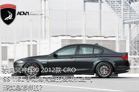 东风风神H30 2012款 CROSS 1.6L 手动尊尚型的发动机进气形式是怎样的？