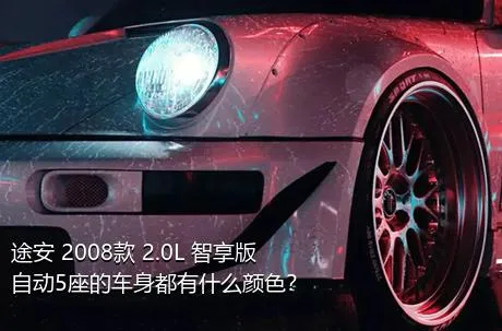 途安 2008款 2.0L 智享版自动5座的车身都有什么颜色？