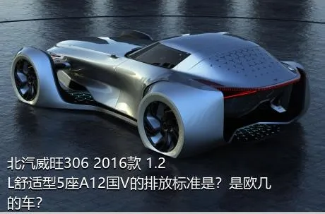 北汽威旺306 2016款 1.2L舒适型5座A12国V的排放标准是？是欧几的车？
