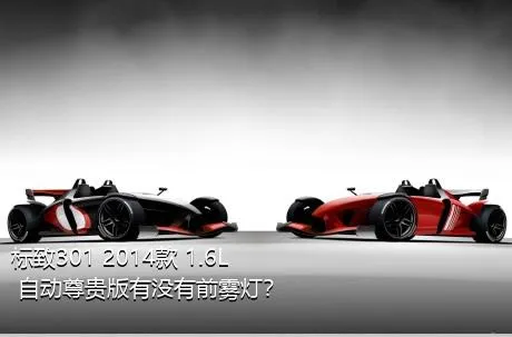 标致301 2014款 1.6L 自动尊贵版有没有前雾灯？