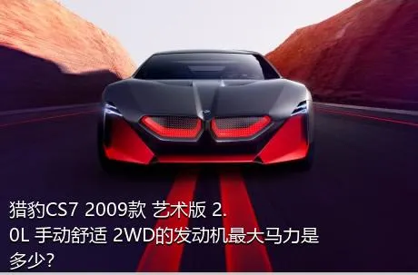 猎豹CS7 2009款 艺术版 2.0L 手动舒适 2WD的发动机最大马力是多少？