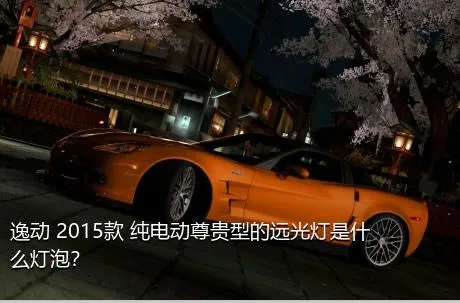 逸动 2015款 纯电动尊贵型的远光灯是什么灯泡？