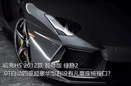 哈弗H5 2012款 智尊版 绿静2.0T自动四驱超豪华型有没有儿童座椅接口？
