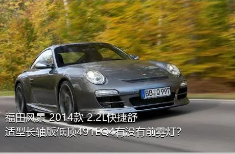 福田风景 2014款 2.2L快捷舒适型长轴版低顶491EQ4有没有前雾灯？