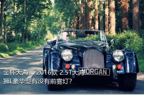 金杯大海狮 2016款 2.5T大海狮L豪华型有没有前雾灯？