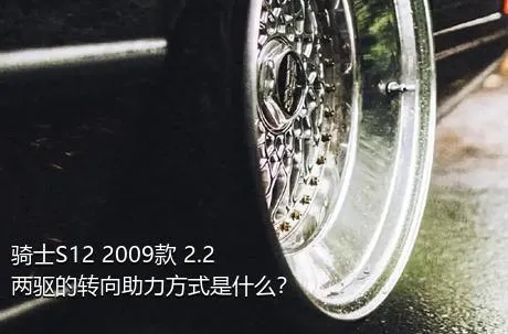 骑士S12 2009款 2.2 两驱的转向助力方式是什么？