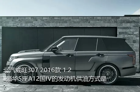 北汽威旺307 2016款 1.2L豪华5座A12国IV的发动机供油方式是？