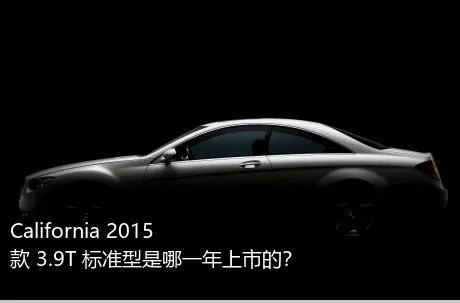 California 2015款 3.9T 标准型是哪一年上市的？