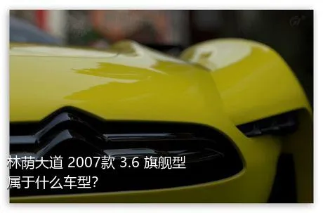 林荫大道 2007款 3.6 旗舰型属于什么车型？