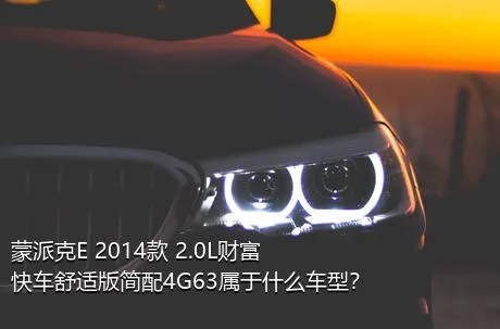 蒙派克E 2014款 2.0L财富快车舒适版简配4G63属于什么车型？