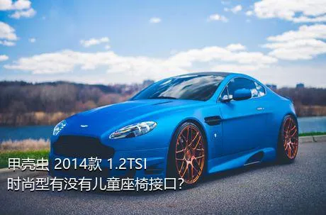 甲壳虫 2014款 1.2TSI 时尚型有没有儿童座椅接口？