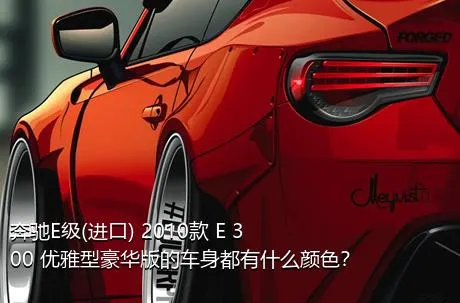 奔驰E级(进口) 2010款 E 300 优雅型豪华版的车身都有什么颜色？