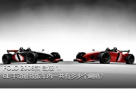 POLO 2008款 劲取 1.6L 手动雅致版车内一共有多少个喇叭？