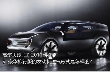 高尔夫(进口) 2011款 1.4TSI 豪华旅行版的发动机进气形式是怎样的？